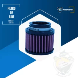 Filtro regulador de aire marca Walker Airsep #CD180